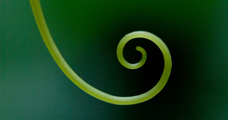 2025 circular fashion trends