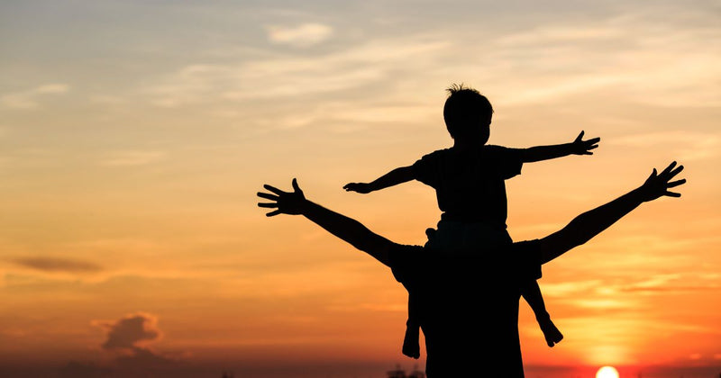 A silhouette of a man joyfully lifting his child in the air against a beautiful sunset backdrop.