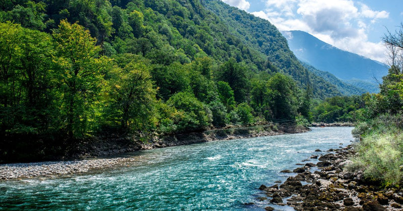 clean river for national quality water month